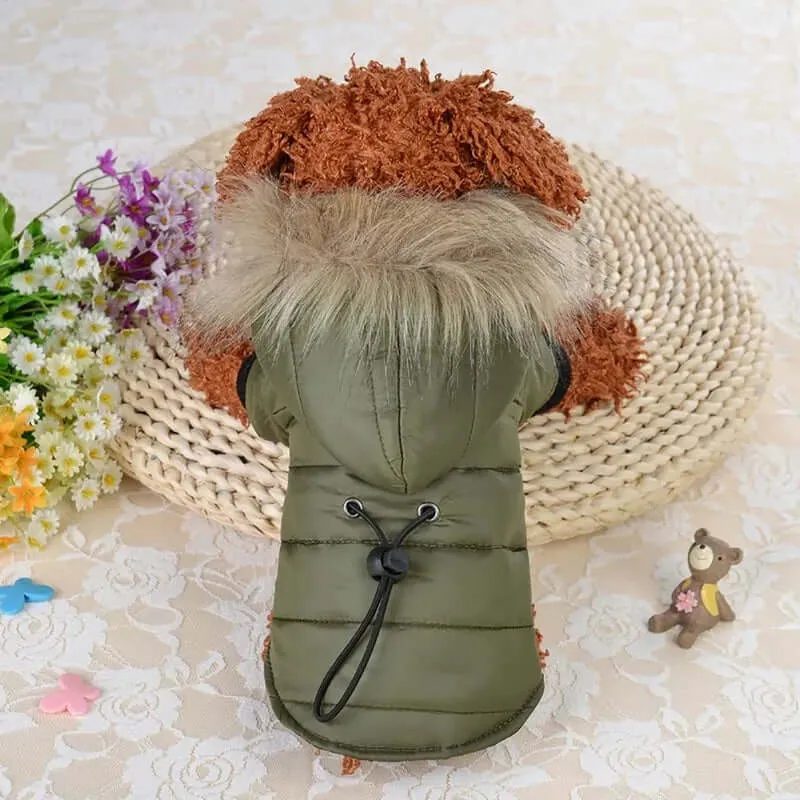 Warm Winter Jackets for Small Dogs